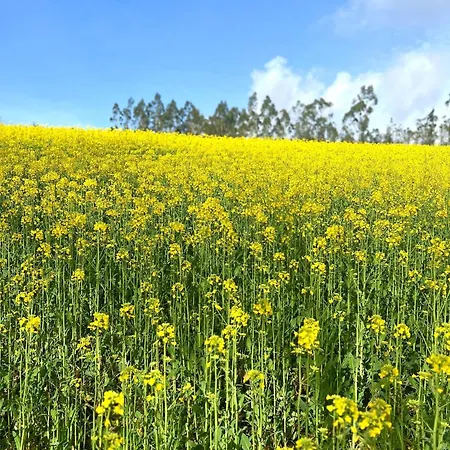 De Sonia Vandrarhem *