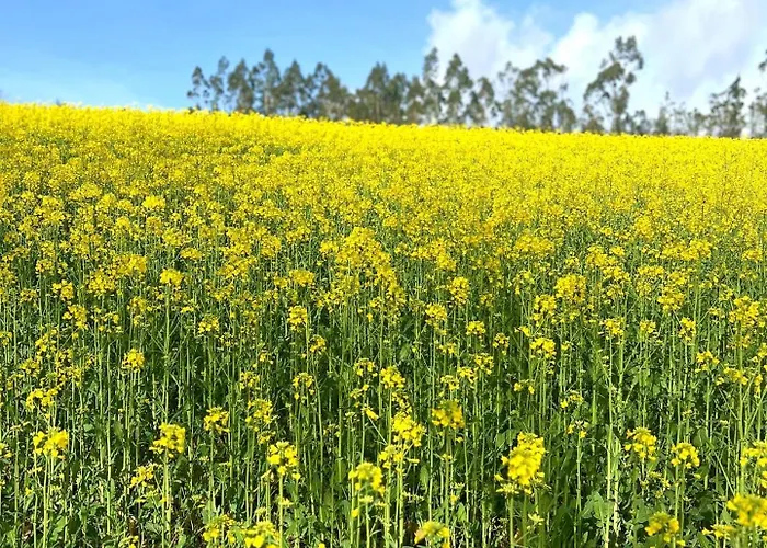 De Sonia Auberge de jeunesse *